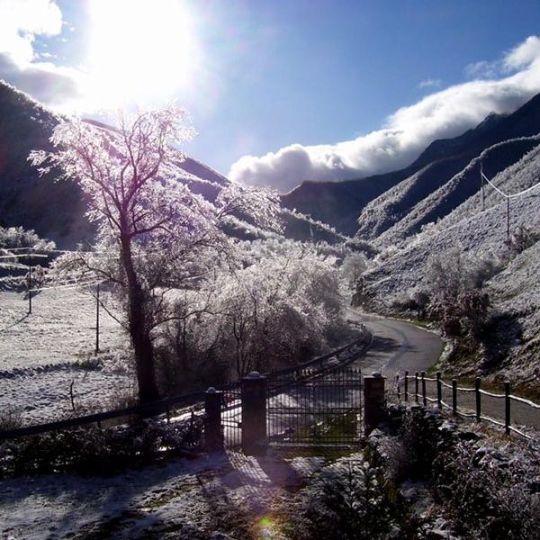 cropped-bed-and-breakfast-catria-inverno-2.jpg