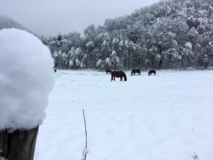 Bed and Breakfast Ai Piedi Del Catria inverno