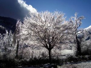 Bed and Breakfast Ai Piedi Del Catria inverno