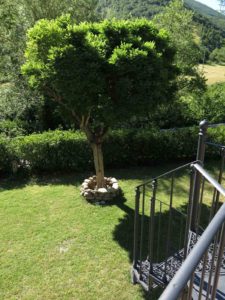 Bed and Breakfast Ai Piedi Del Catria
