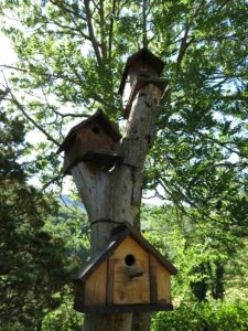 Dettagli bed and breakfast Ai Piedi Del Catria